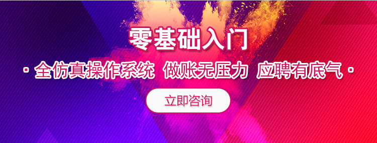 零基础会计，全仿真操作系统，做账无压力，应聘有底气
