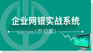 企业网银实战系统农行版