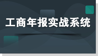 工商年报实战系统
