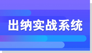 出纳实战系统